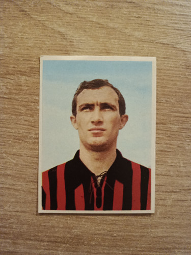 1966 imperia calciatori - 1966-67,