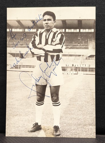 Calcio rara foto con dedica - foto,