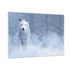 Quadro su Vetro 100x70cm Bianco lupo neve Stampe Immagini Quadri Moderni Murale