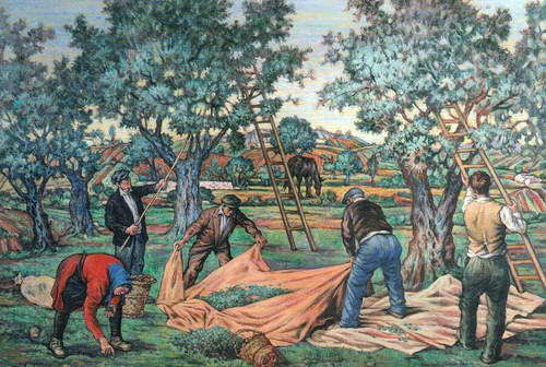 Giambecchina lotto 3 - lotto,