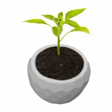 Stampo 3D cemento cemento