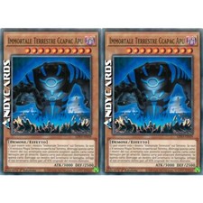 IMMORTAL TERRESTRIAL CCAPAC