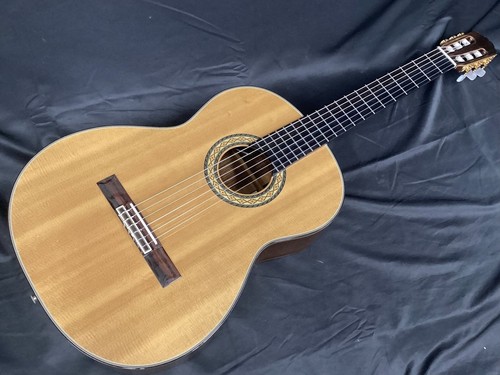 Chitarra classica elettrica