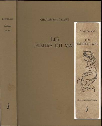 Eandi fernando les fleurs du - eandi,