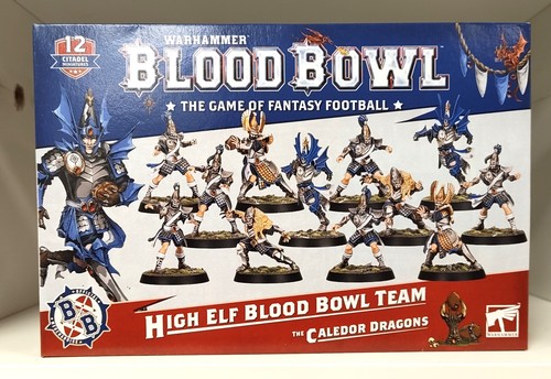 Warhammer high elf blood bowl - high,