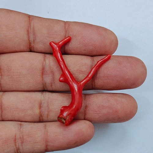 Autentico corallo rosso