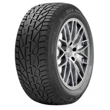 Gomme Invernali Riken 195/60