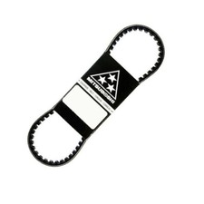 Polaris Phoenix Sawtooth 200