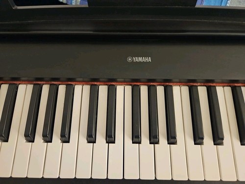 Tastiera yamaha 61 - yamaha, tasti