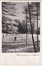 FOTOGRAFICA - IL SENTIERO DI VELLUTO - SCIATORE -35341-
