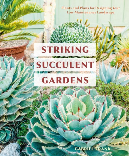 Striking succulent gardens - striking,
