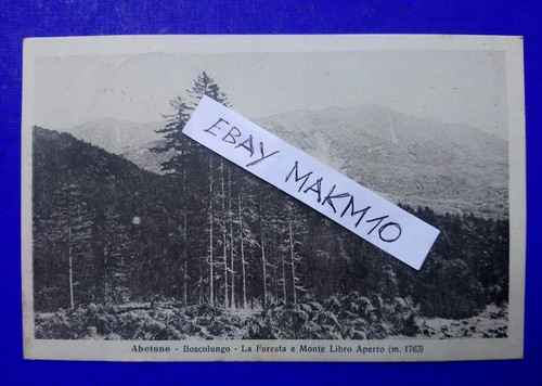 Cartolina abetone - 🔵cartolina,