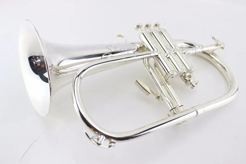 Tromba professionale - , bb
