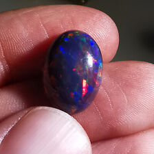 Opale Arlecchino Etiope (Welo