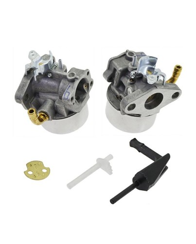 Briggs stratton carburatore - &,