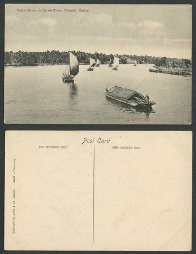 Ceylon old postcard - postcard, padda