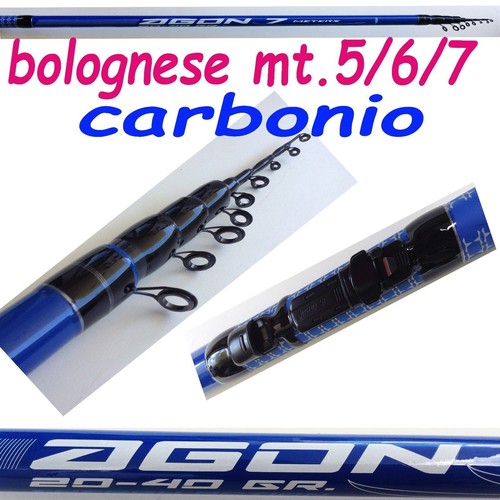 Canna bolognese 6 - canna, in