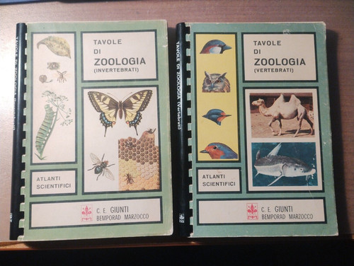 Tavole zoologia - di,
