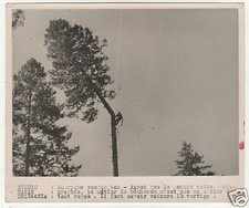 @ PHOTO DE PRESSE HAVAS