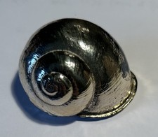 Conchiglia buccellati - conchiglia,