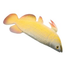 Pesci Finti Per Acquario