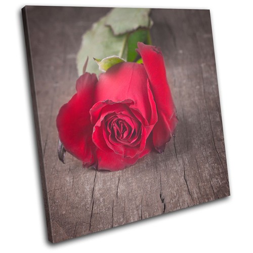 Rose flowers love - rose,