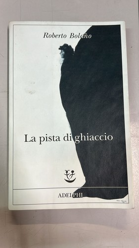 Pista ghiaccio bolano - di,