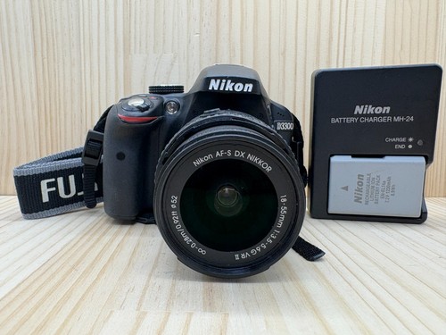 Nikon d3300 megapixel - 24,2,