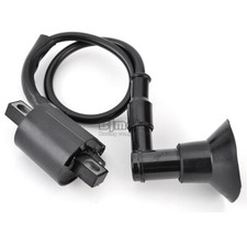 Ignition Coil For SMC REX