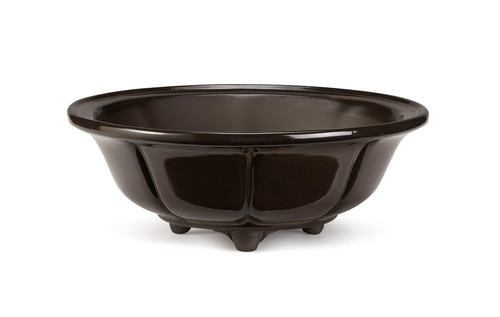 Certrè vaso per bonsai - -,