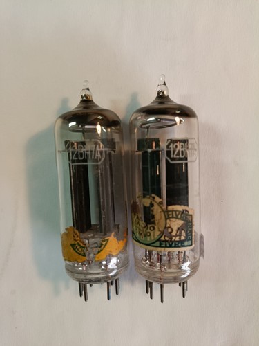 Pair rare fivre marconi - fivre,
