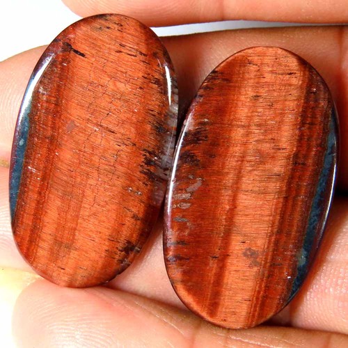 Coppia ovale occhio - , tigre