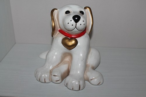 Thun animali cane todo - animali,,