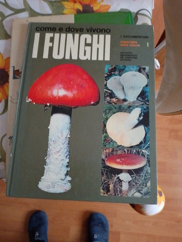 Documentari funghi de - i,