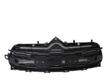 Griglia Superiore Del Paraurti