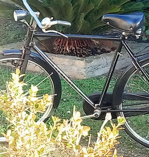 Bici freni bacchetta uomo - freni,