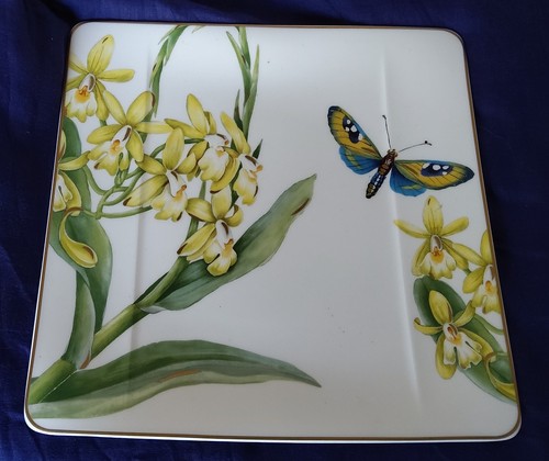 Assiette plate carré amazonia - plate,