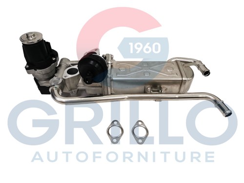 Valvola egr completa - valvola, audi
