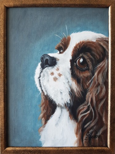 Cavalier king charles - king, spaniel