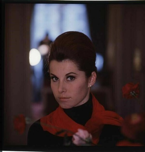 Stefanie powers striking - stefanie,