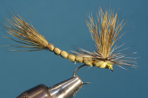 Fliegentom mosca secca - ,