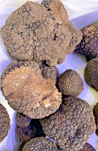 Tartufo nero estivo 1kg - nero,