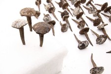 42 chiodi antichi in ferro