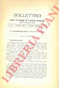Salvadori tommaso la - tommaso,