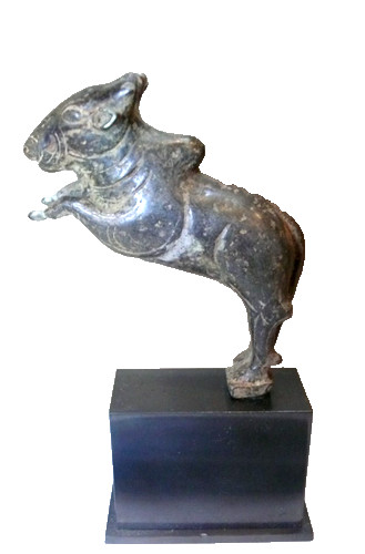 Toro allevamento khmer in - toro,