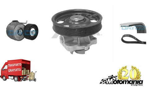 Kit cinghia servizi pompa - kit,