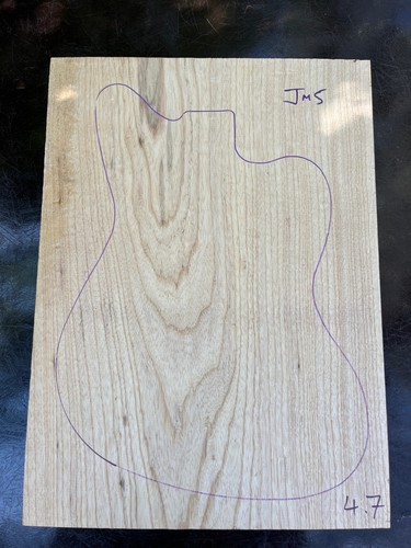Swamp ash due pezzi - swamp,