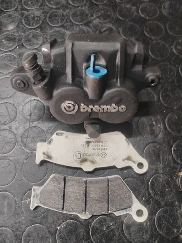 Pinza freno posteriore - pinza, ducati