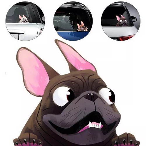 Adesivo auto bulldog francese - auto,