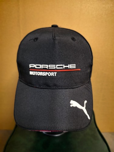 Porsche motorsport puma - x,